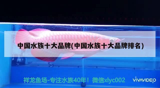 中國(guó)水族十大品牌(中國(guó)水族十大品牌排名) 2024第28屆中國(guó)國(guó)際寵物水族展覽會(huì)CIPS（長(zhǎng)城寵物展2024 CIPS）