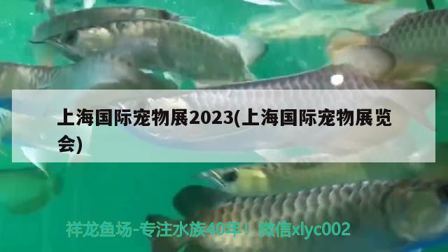 上海國際寵物展2023(上海國際寵物展覽會(huì))