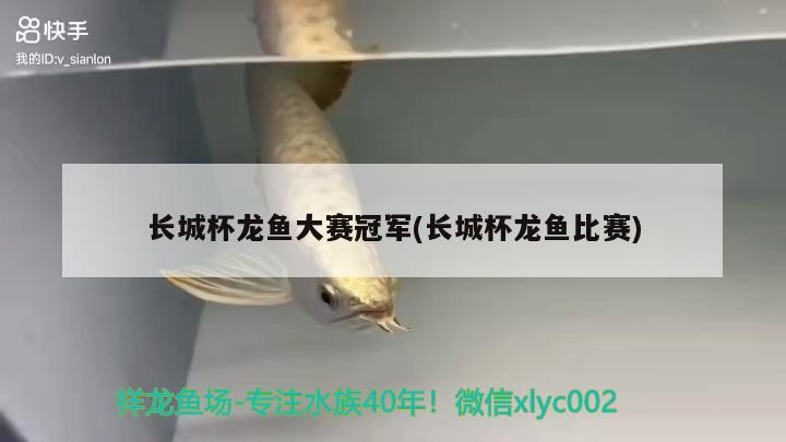 長城杯龍魚大賽冠軍(長城杯龍魚比賽) 2024第28屆中國國際寵物水族展覽會CIPS（長城寵物展2024 CIPS）