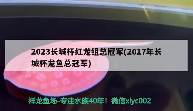 2023長(zhǎng)城杯紅龍組總冠軍(2017年長(zhǎng)城杯龍魚總冠軍)