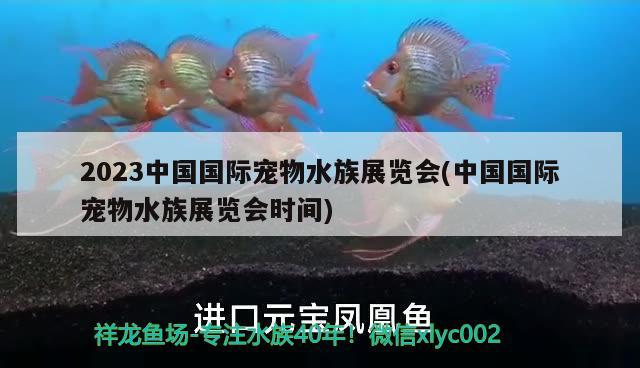 2023中國國際寵物水族展覽會(中國國際寵物水族展覽會時間)