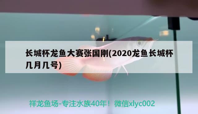 長城杯龍魚大賽張國剛(2020龍魚長城杯幾月幾號)