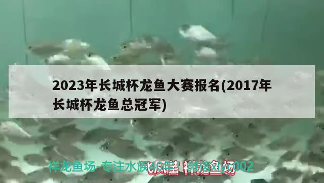 2023年長(zhǎng)城杯龍魚(yú)大賽報(bào)名(2017年長(zhǎng)城杯龍魚(yú)總冠軍) 2024第28屆中國(guó)國(guó)際寵物水族展覽會(huì)CIPS（長(zhǎng)城寵物展2024 CIPS） 第1張