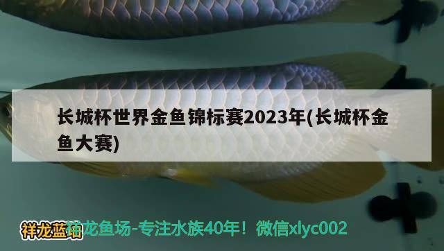 長城杯世界金魚錦標賽2023年(長城杯金魚大賽)