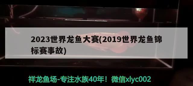 2023世界龍魚大賽(2019世界龍魚錦標(biāo)賽事故)