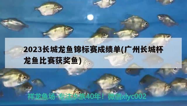 2023長城龍魚錦標(biāo)賽成績單(廣州長城杯龍魚比賽獲獎(jiǎng)魚)