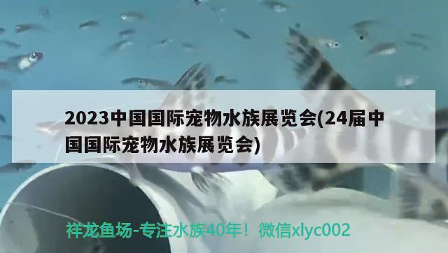 2023中國國際寵物水族展覽會(24屆中國國際寵物水族展覽會)