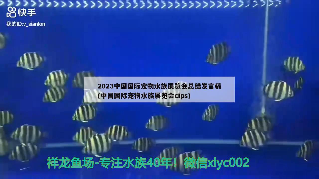 2023中國(guó)國(guó)際寵物水族展覽會(huì)總結(jié)發(fā)言稿(中國(guó)國(guó)際寵物水族展覽會(huì)cips)