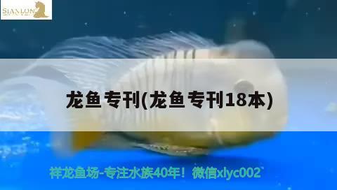 龍魚?？?龍魚專刊18本)