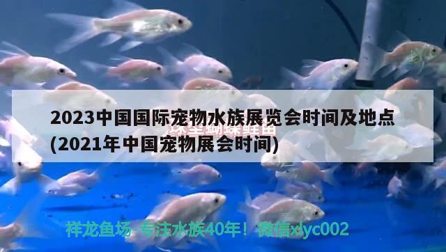 2023中國國際寵物水族展覽會時間及地點(2021年中國寵物展會時間)