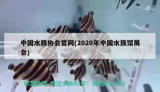 中國(guó)水族協(xié)會(huì)官網(wǎng)(2020年中國(guó)水族館展會(huì))