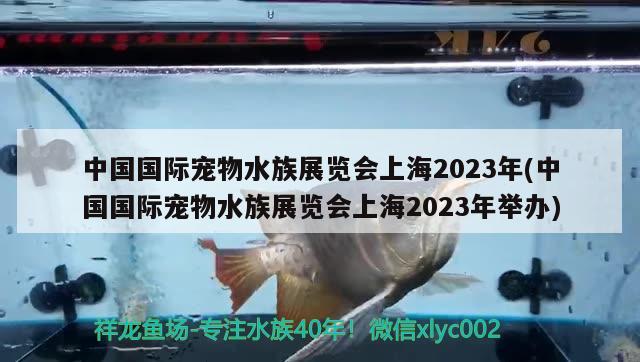 中國國際寵物水族展覽會上海2023年(中國國際寵物水族展覽會上海2023年舉辦)