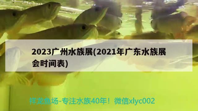 2023廣州水族展(2021年廣東水族展會時間表)