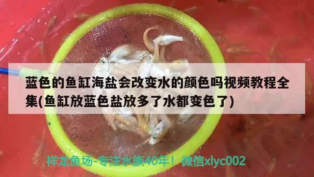 藍色的魚缸海鹽會改變水的顏色嗎視頻教程全集(魚缸放藍色鹽放多了水都變色了)