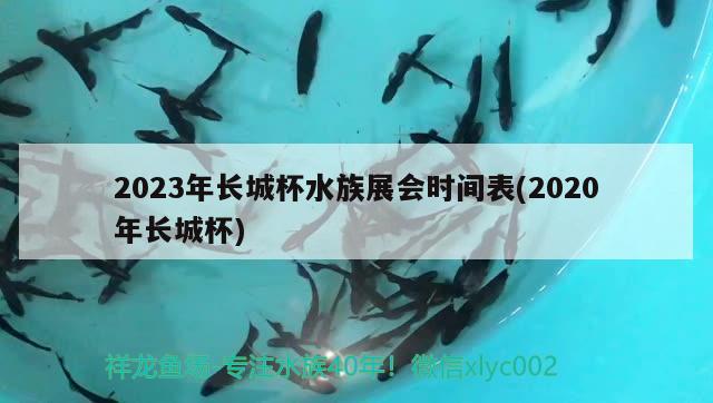 2023年長城杯水族展會時(shí)間表(2020年長城杯)