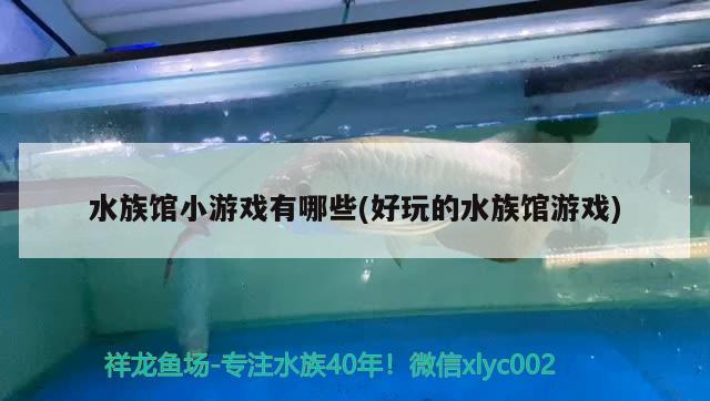 水族館小游戲有哪些(好玩的水族館游戲)