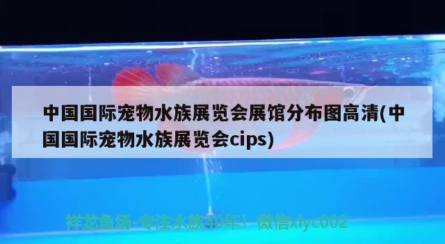 中國國際寵物水族展覽會(huì)展館分布圖高清(中國國際寵物水族展覽會(huì)cips)