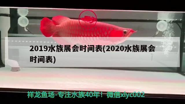 2019水族展會時間表(2020水族展會時間表) 水族展會