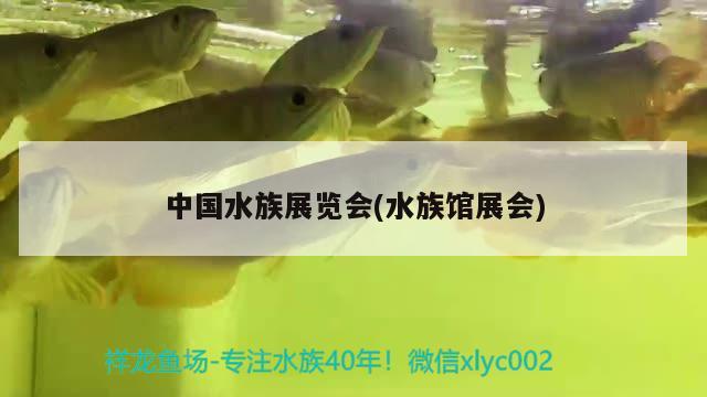 中國水族展覽會(水族館展會) 水族展會