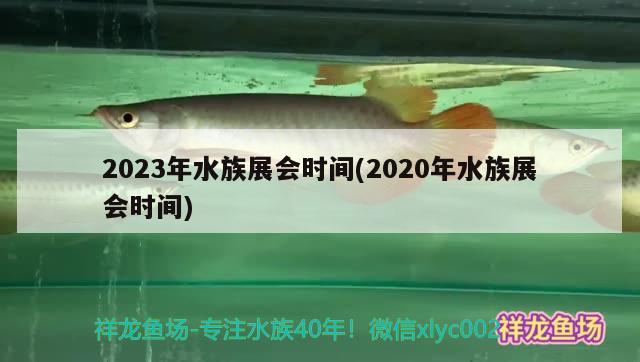 2023年水族展會(huì)時(shí)間(2020年水族展會(huì)時(shí)間) 水族展會(huì)