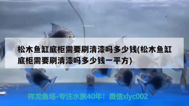 松木魚缸底柜需要刷清漆嗎多少錢(松木魚缸底柜需要刷清漆嗎多少錢一平方) 元寶鳳凰魚專用魚糧