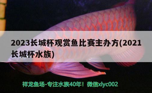 2023長(zhǎng)城杯觀賞魚(yú)比賽主辦方(2021長(zhǎng)城杯水族)