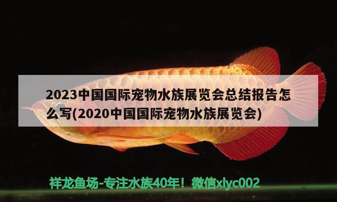 2023中國國際寵物水族展覽會總結(jié)報告怎么寫(2020中國國際寵物水族展覽會) 水族展會