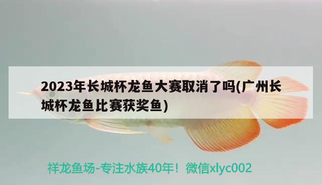 2023年長城杯龍魚大賽取消了嗎(廣州長城杯龍魚比賽獲獎魚) 2024第28屆中國國際寵物水族展覽會CIPS（長城寵物展2024 CIPS）