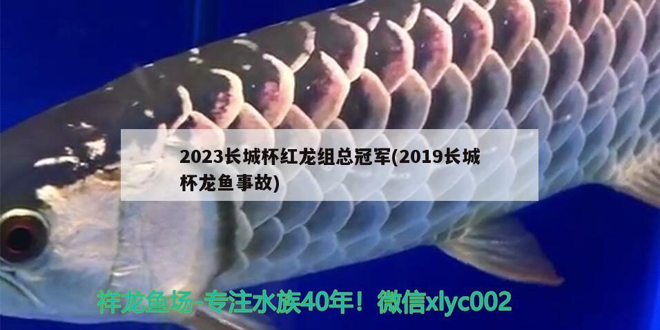 2023長(zhǎng)城杯紅龍組總冠軍(2019長(zhǎng)城杯龍魚事故)