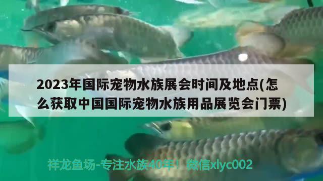 2023年國(guó)際寵物水族展會(huì)時(shí)間及地點(diǎn)(怎么獲取中國(guó)國(guó)際寵物水族用品展覽會(huì)門票)