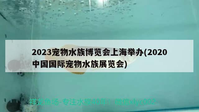 2023寵物水族博覽會上海舉辦(2020中國國際寵物水族展覽會) 水族展會