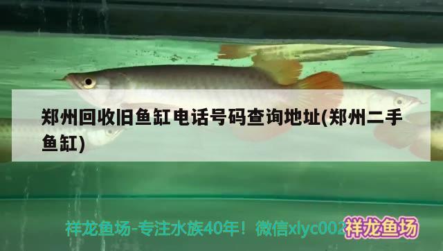 鄭州回收舊魚缸電話號碼查詢地址(鄭州二手魚缸) 廣州龍魚批發(fā)市場 第3張