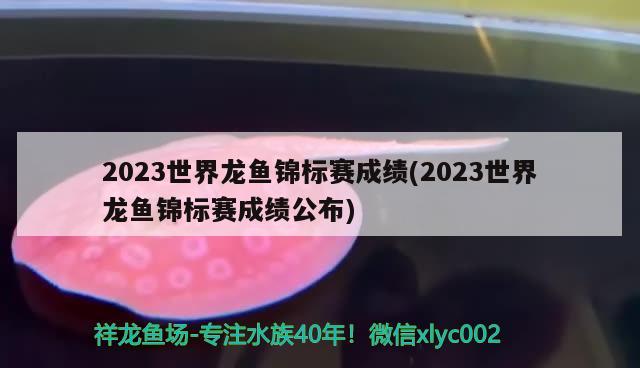 2023世界龍魚錦標(biāo)賽成績(2023世界龍魚錦標(biāo)賽成績公布) 2024第28屆中國國際寵物水族展覽會CIPS（長城寵物展2024 CIPS）