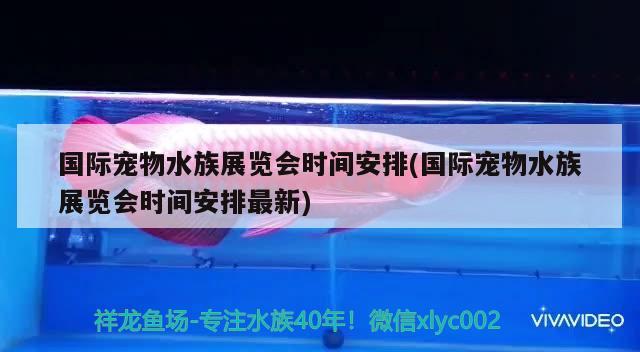 國際寵物水族展覽會時間安排(國際寵物水族展覽會時間安排最新)