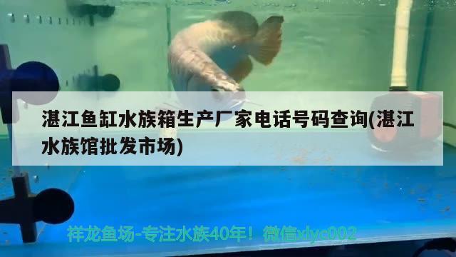 湛江魚缸水族箱生產(chǎn)廠家電話號(hào)碼查詢(湛江水族館批發(fā)市場(chǎng)) 魚缸/水族箱