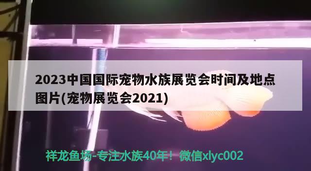 2023中國(guó)國(guó)際寵物水族展覽會(huì)時(shí)間及地點(diǎn)圖片(寵物展覽會(huì)2021)