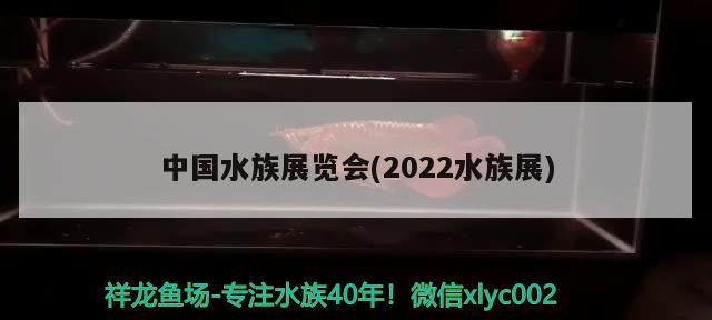 中國水族展覽會(2022水族展)