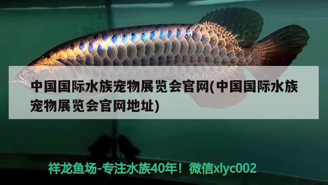 中國國際水族寵物展覽會官網(wǎng)(中國國際水族寵物展覽會官網(wǎng)地址)