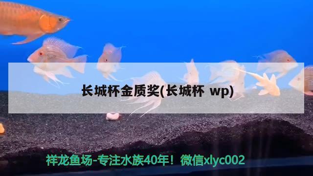 長城杯金質(zhì)獎(jiǎng)(長城杯wp) 2025第29屆中國國際寵物水族展覽會CIPS（長城寵物展2025 CIPS）