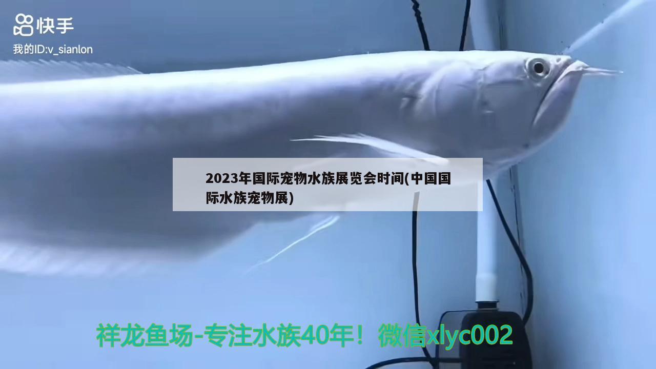 2023年國際寵物水族展覽會時間(中國國際水族寵物展)