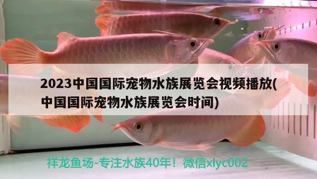 2023中國國際寵物水族展覽會(huì)視頻播放(中國國際寵物水族展覽會(huì)時(shí)間) 水族展會(huì)