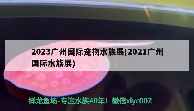 2023廣州國(guó)際寵物水族展(2021廣州國(guó)際水族展)