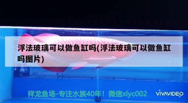 浮法玻璃可以做魚(yú)缸嗎(浮法玻璃可以做魚(yú)缸嗎圖片)