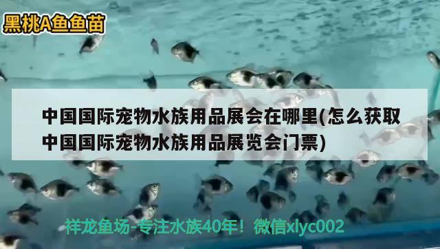 中國(guó)國(guó)際寵物水族用品展會(huì)在哪里(怎么獲取中國(guó)國(guó)際寵物水族用品展覽會(huì)門(mén)票)