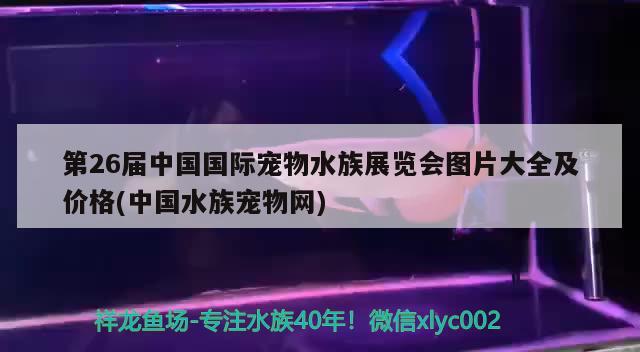 第26屆中國(guó)國(guó)際寵物水族展覽會(huì)圖片大全及價(jià)格(中國(guó)水族寵物網(wǎng))