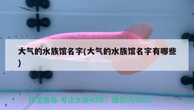 大氣的水族館名字(大氣的水族館名字有哪些) 2024第28屆中國國際寵物水族展覽會CIPS（長城寵物展2024 CIPS）