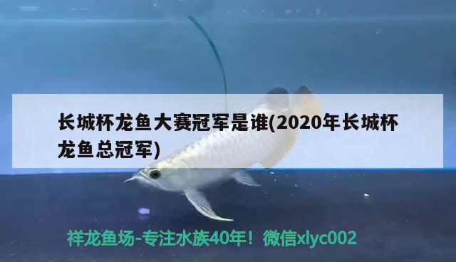 長城杯龍魚大賽冠軍是誰(2020年長城杯龍魚總冠軍)