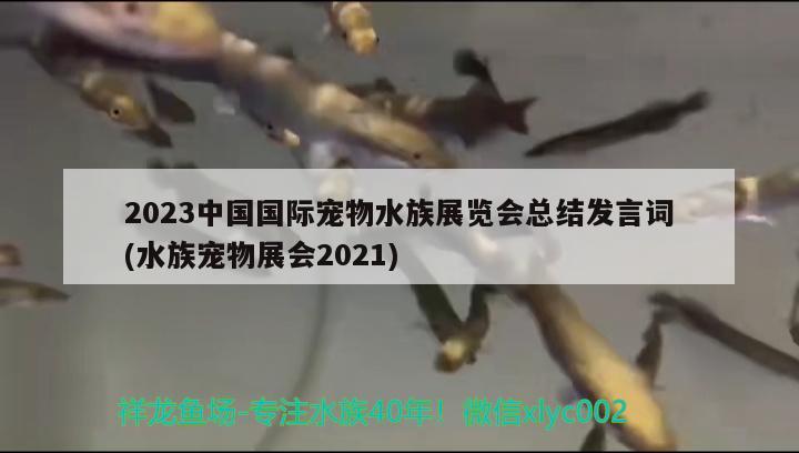 2023中國國際寵物水族展覽會總結(jié)發(fā)言詞(水族寵物展會2021)