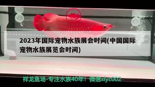 2023年國(guó)際寵物水族展會(huì)時(shí)間(中國(guó)國(guó)際寵物水族展覽會(huì)時(shí)間) 水族展會(huì)