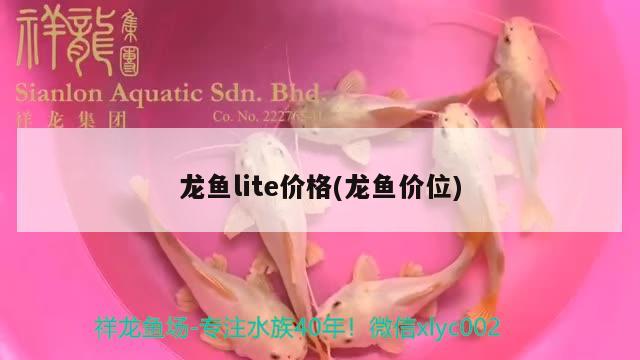 龍魚lite價格(龍魚價位)